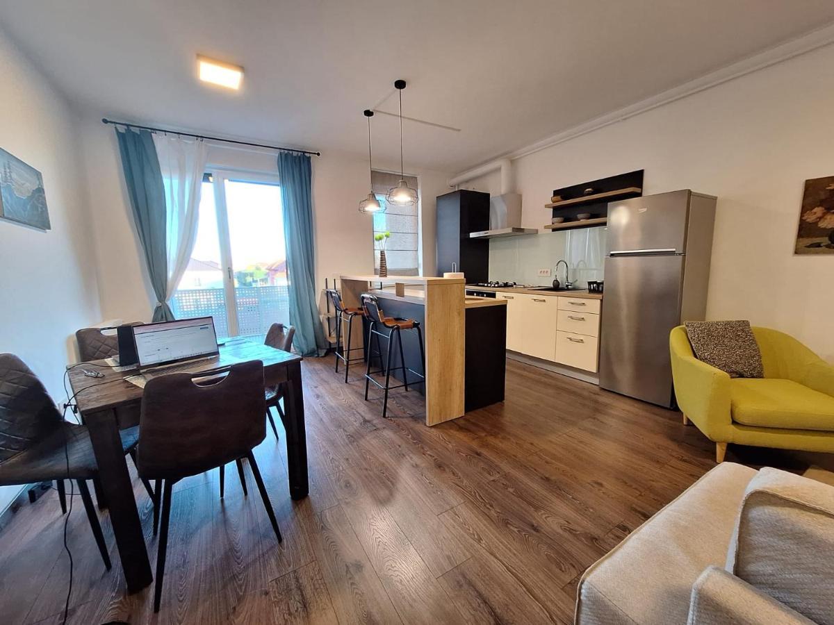 Mirvana Apartments Metheor Executive Suite Тімішоара Екстер'єр фото