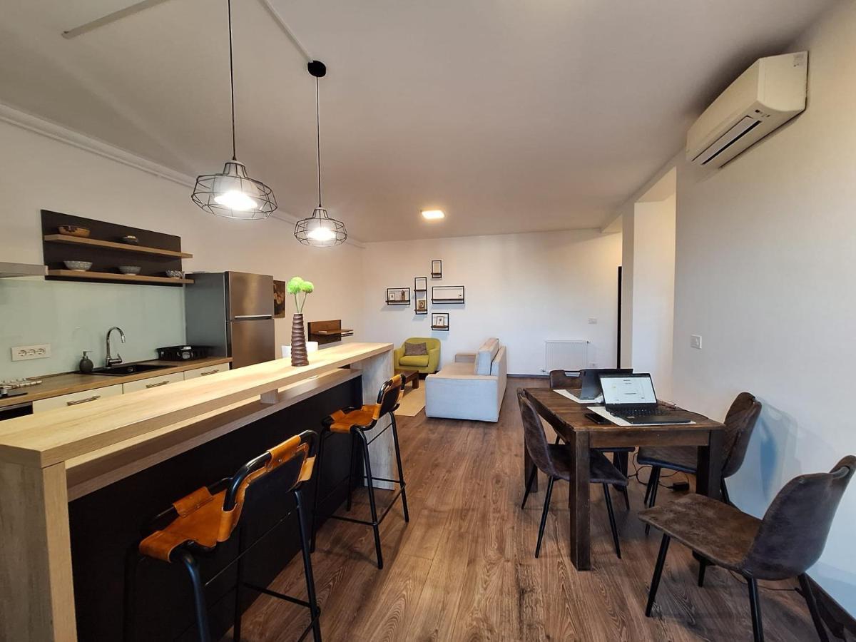 Mirvana Apartments Metheor Executive Suite Тімішоара Екстер'єр фото