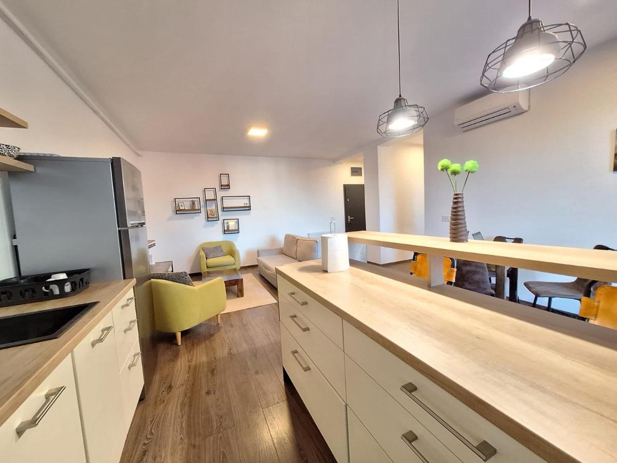 Mirvana Apartments Metheor Executive Suite Тімішоара Екстер'єр фото