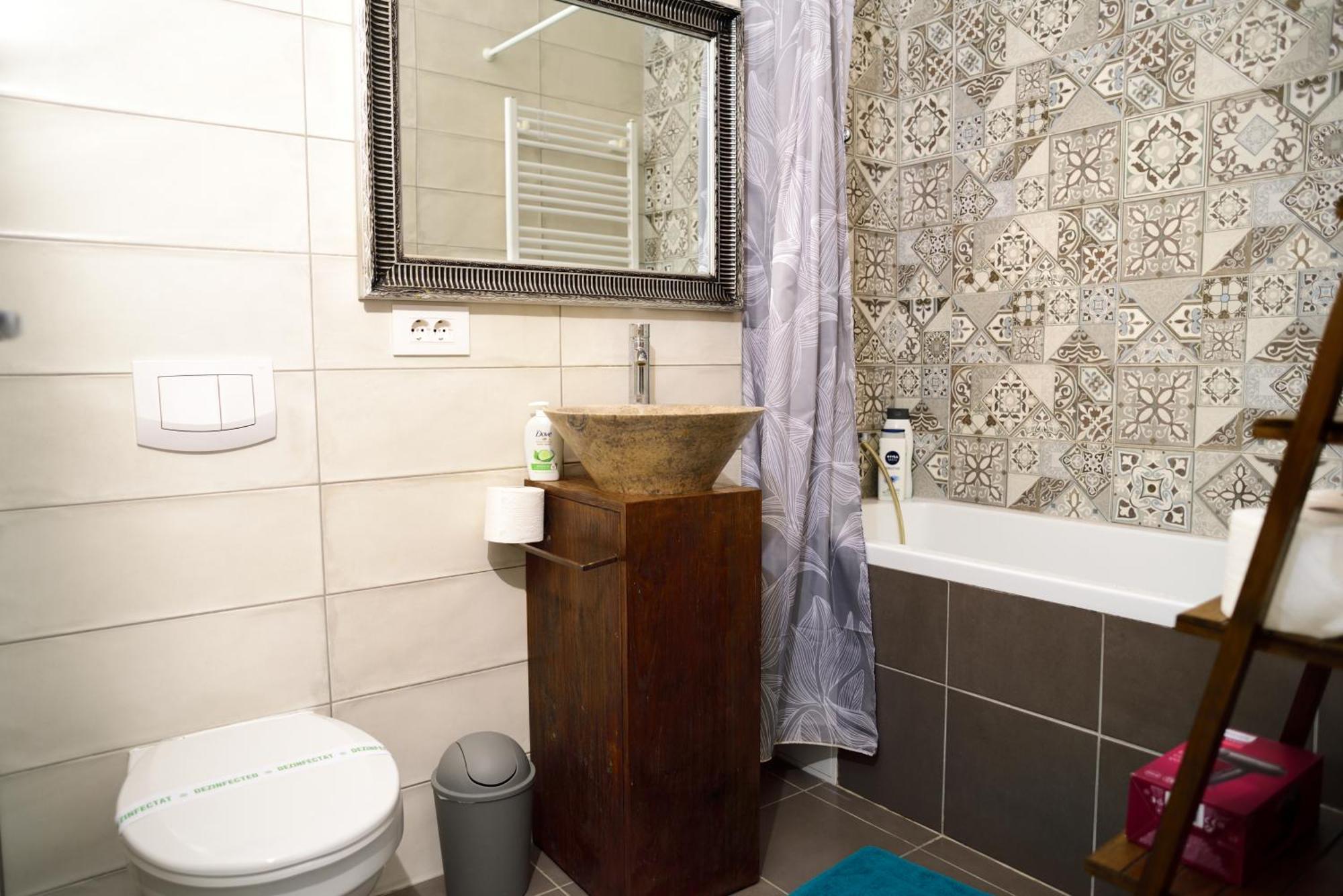 Mirvana Apartments Metheor Executive Suite Тімішоара Екстер'єр фото